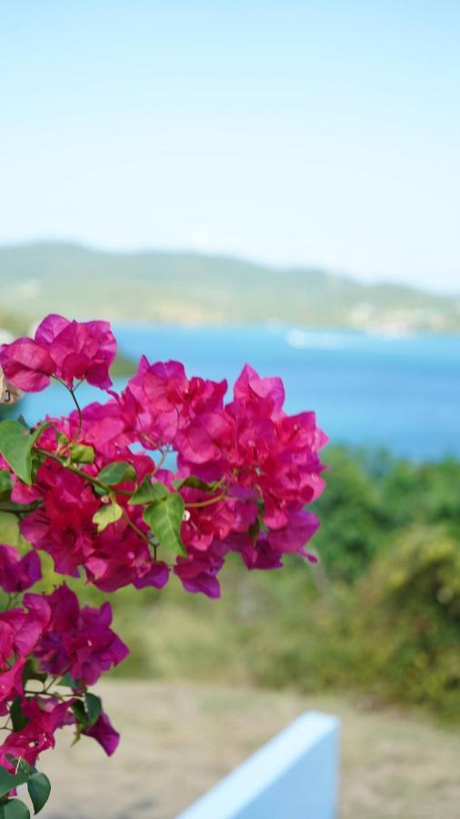 Coqui Beach Home, Culebra Isla Culebra Exterior foto